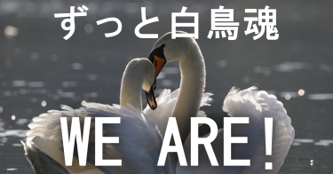 FXで勝つために絶対必要な学び続けるチカラ