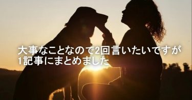 [FX]FXトレードスタイルを複数扱うことの重要性と注意すべきこと